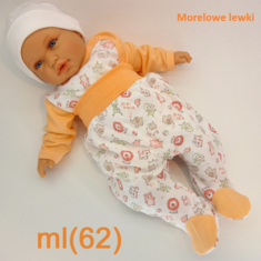 ml(62)