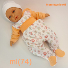 ml(74)