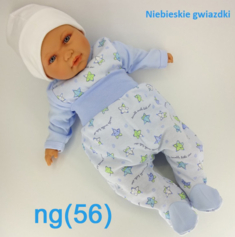 ng(56)
