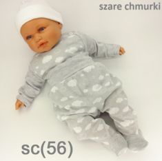 sc(56)