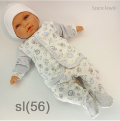 sl(56)
